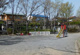 洋光台北公園の画像