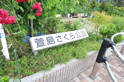 萱島さくら公園の画像1