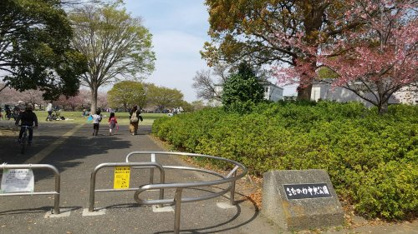 さむかわ中央公園の画像1