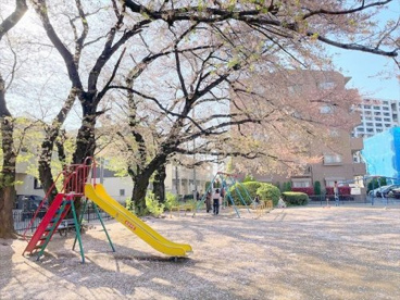 北割公園の画像1