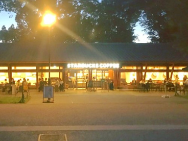 スターバックスコーヒー 上野恩賜公園店の画像1