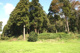 富田みどり里山公園の画像