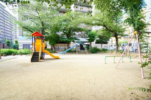 の画像