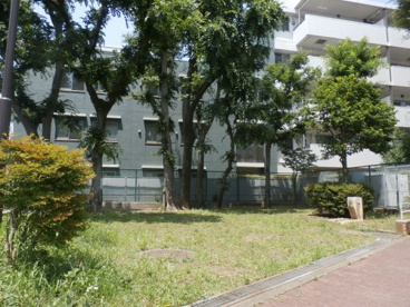 井頭緑地の画像1