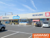 ウエルシア 岩瀬富士見台店