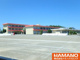 新治小学校の画像