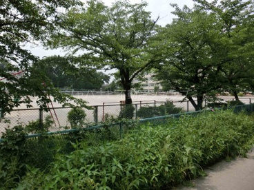 指扇北小学校の画像2