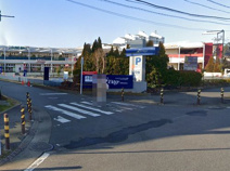  トレアージュ白旗