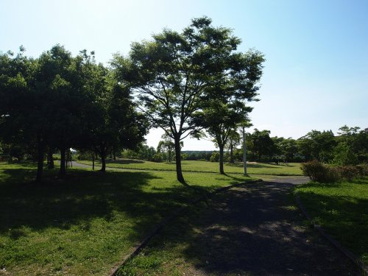 ふれあいの広場公園の画像1