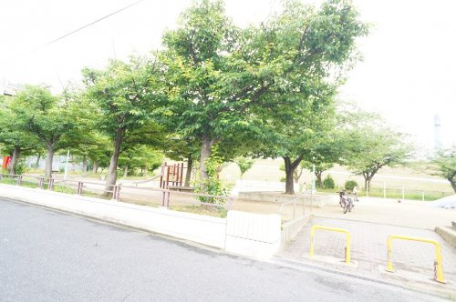 の画像