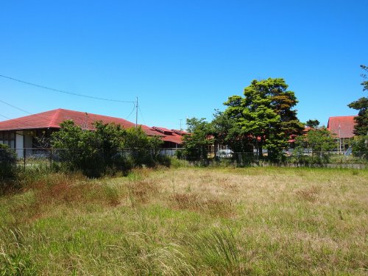 九十九里町立かたかいこども園の画像1