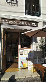 鎌倉ぷりん工房　かわいい娘たちの画像1