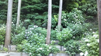 御霊神社の画像2