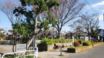 駒形公園の画像1