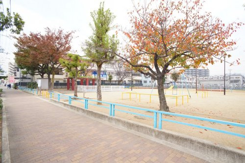 の画像