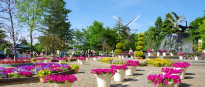 ふなばしアンデルセン公園子ども美術館の画像1