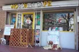 保護犬 保護猫カフェ天神橋店情報ページ 大阪市 鶴見区の戸建て マンション情報ならケーズ住宅販売株式会社