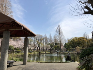 元渕江公園の画像5