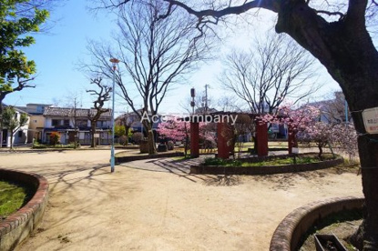 育和公園の画像2