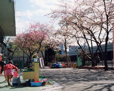 東十条東保育園の画像1