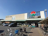 スーパーワカバ本店