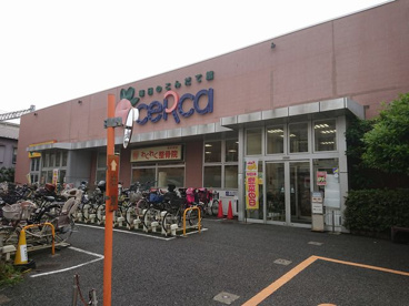 セルカ 毎日のこんだて館の画像1