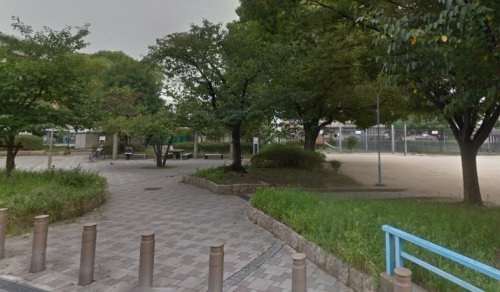 の画像