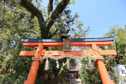 大将軍神社の画像1
