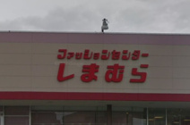 ファッションセンターしまむら広畑北野店