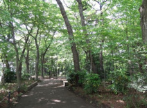 三井の森公園
