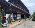 雅