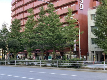 Olympic(オリンピック) 白山店の画像5