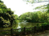 和田堀公園