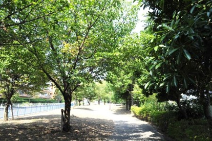 生麦貝ノ浜緑地の画像1