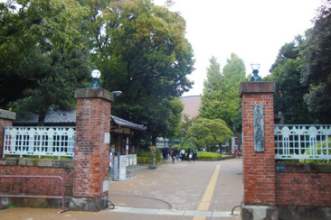 国立東京芸術大学