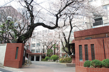 私立女子栄養大学短期大学部