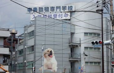 中央動物専門学校