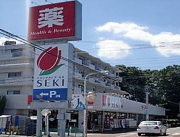 ドラッグストアSEKI(セキ) 堀の内町店
