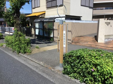 青柳橋西詰（バス）の画像1