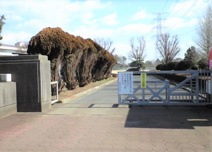 つくば市立高崎中学校