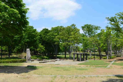 時の公園の画像1