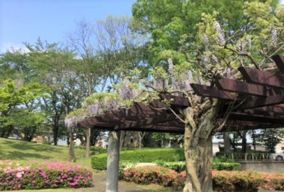 天久保公園の画像1