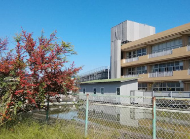 取手市立山王小学校の画像1