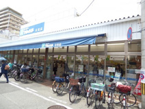 マルハチ立花店