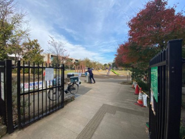 おとめ山公園の画像1