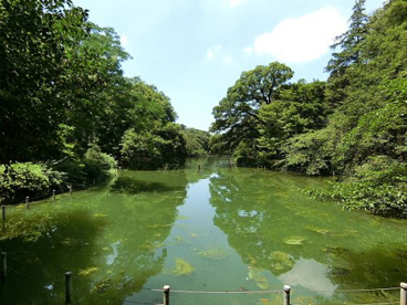 井の頭公園の画像1
