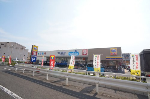 の画像