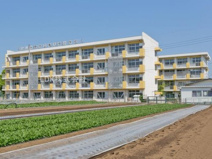 ふじみ野市/亀久保小学校