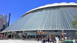 東京ドーム
株式会社メイワ・エステート
東京都台東区東上野5-5-9
03-5830-3434
http://www.meiwaestate.jp/ 東京ドームの画像4