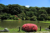 その他 小石川植物園